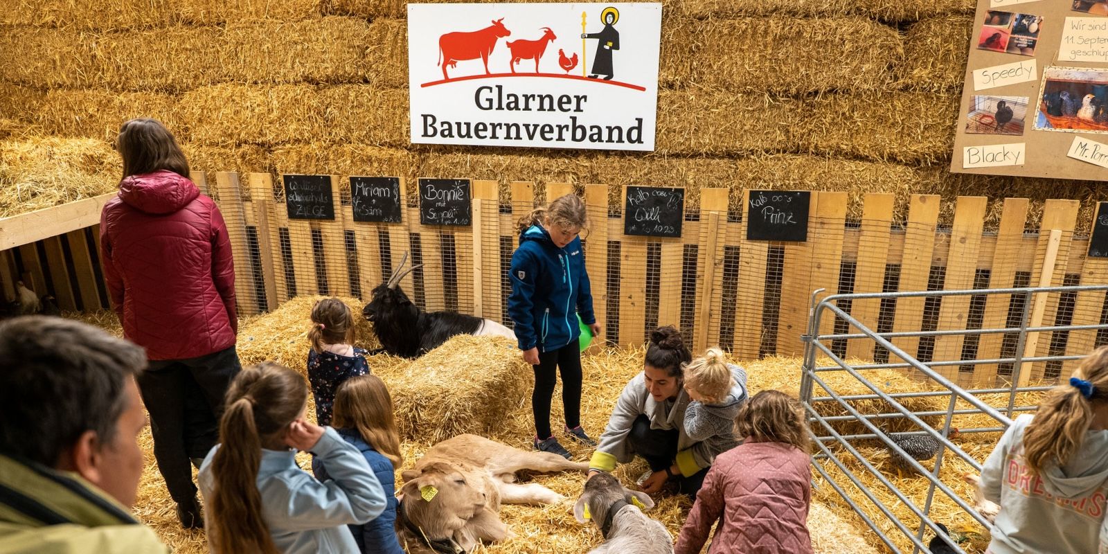 Glarner Messe 2025 - mobile
