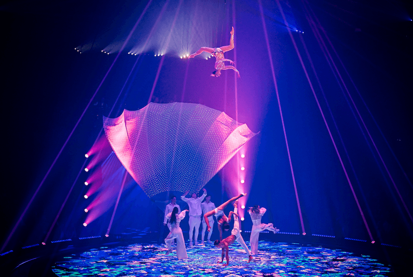 Circus Knie - mobile