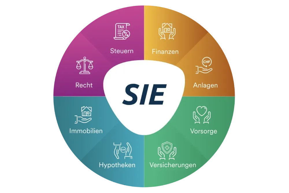 360 Check Up Thumbnail