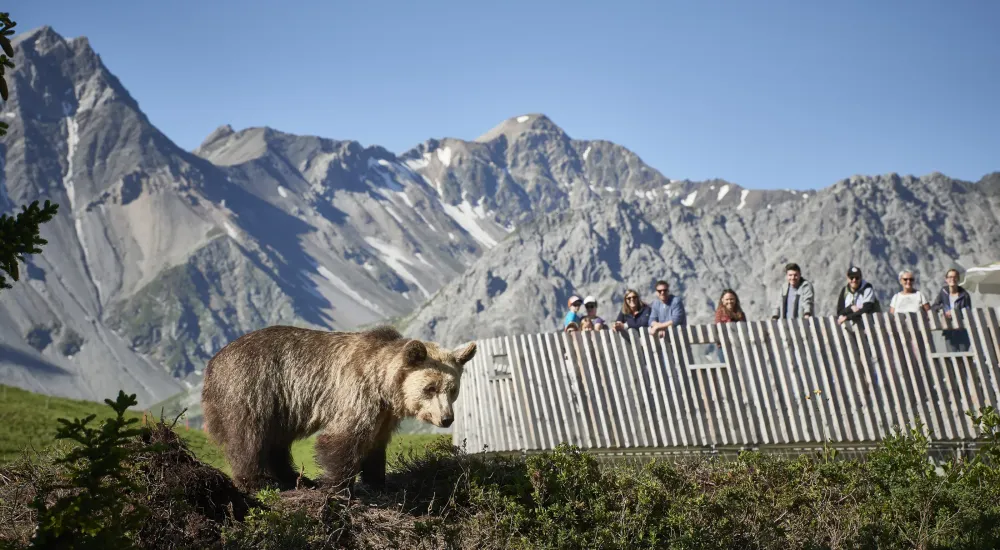 10 x Bärenland Eintrittstickets