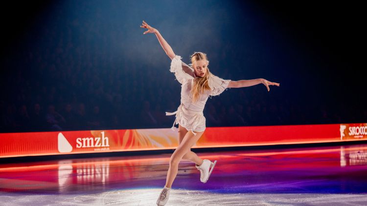 Art on Ice - desktop