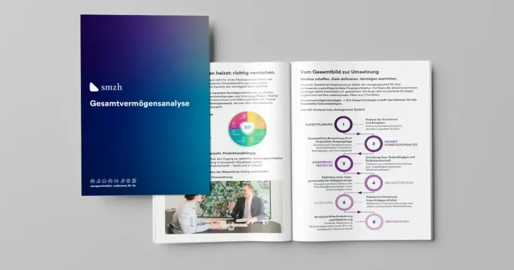 Gesamtvermögensanalyse PDF Brochure - desktop