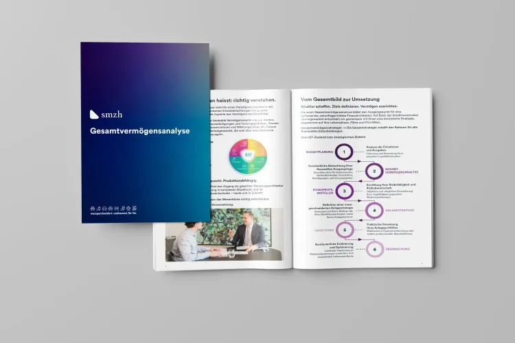 Gesamtvermögensanalyse PDF Brochure - desktop