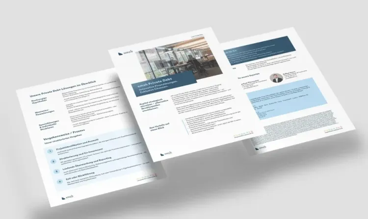 Private Debt Factsheet PDF